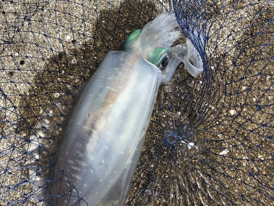 55ツーリング in 船番所