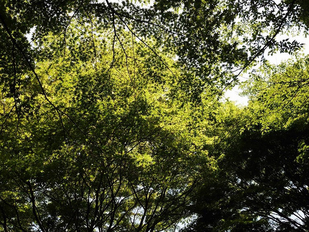 55ツーリング in 松浦アジフライ